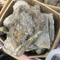 Fósil de hueso de dinosaurio Natural a granel, piedra de cristal para colección, venta al por mayor