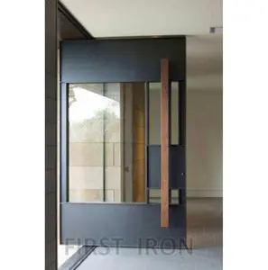 现代长柄实心面板钢化玻璃法式门，带锻铁