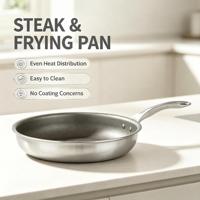 Poêle à frire antiadhésive 3 plis, compatible induction, 10 pouces, intérieur en acier inoxydable et titane, capacité 10,5 quarts, pour tous types de plaques de cuisson et fours