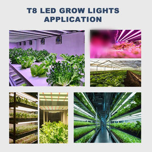 Lampe de croissance pour plantes LED Liweida SMD 2835 IP65 en aluminium hydroponique à spectre complet T8 0,6 m 2 pieds - Product Image 6