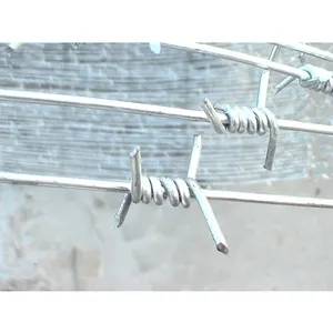 工厂销售镀锌装饰带刺焊接铁丝网围栏