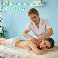 Draps de lit jetables pour le voyage, vente en gros, draps de table de massage jetables non tissés, housses de lit jetables personnalisables