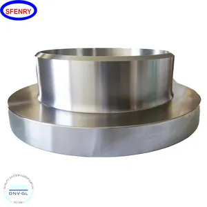 Sfenry ANSI 300 600 SCH40 Stainless Steel A182 F51 WN RTJ Swivel Compact Flanges Price