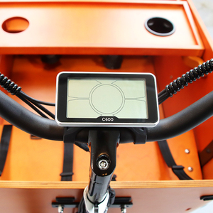 Vélo <span class=keywords><strong>cargo</strong></span> familial électrique hollandais à 3 roues de haute qualité, conforme aux normes européennes, Bakfiet, remorque, vélo <span class=keywords><strong>cargo</strong></span> électrique, 4 places, siège bébé - Product Image 5
