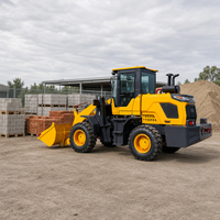 Kleiner Radlader 5300kg für Steinbruch-Bergbau und Landwirtschaft, 3600mm Wendekreis mit 10,7s Schnellzyklus