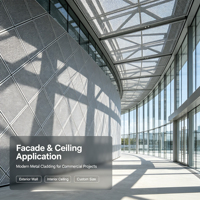 Panneau de façade architecturale en maille d'aluminium expansé diamantée, revêtu de PVDF, sur mesure, pour mur-rideau extérieur