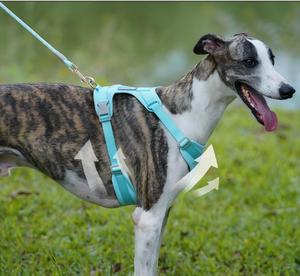 कस्टम लोगो मैकरन शैली हल्के लक्जरी खाली समायोज्य कुत्ते के लिए उपयोग करना - Product Image 4