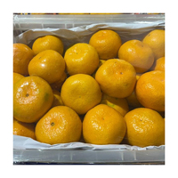 Oranges de Valence fraîches de qualité supérieure en provenance de Chine avec une durée de conservation de 2 ans