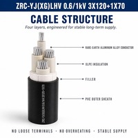Kabel Daya Paduan Aluminium-Besi-Tembaga-Tunggal (Rare Earth) Tegangan Rendah 3*120+1*70 Cocok untuk Berbagai Rekayasa Tenaga, Dapat Disesuaikan