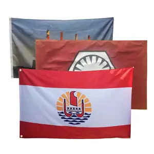 Cetakan Warna Penuh Kualitas Tinggi dengan Tiang Aluminium Bendera Kustom 3X5 Ft