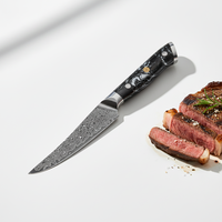 Couteaux de cuisine professionnels en acier Damas KEENHOPE, couteau à steak japonais AUS-10 Core de 4,5 pouces, manche en résine turquoise noire
