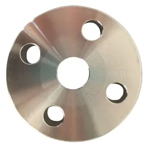 DIN staindard DIN 2545 PN40 stainless steel plate flange