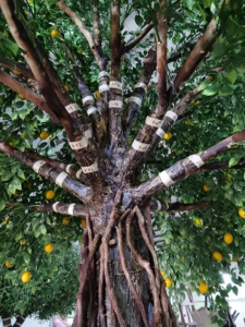 Árbol Artificial Grande, Árbol Falso, Decoraciones de Árbol de Limón para Hoteles y Restaurantes - Product Image 5