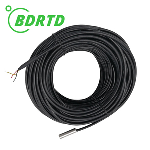Vente directe d'usine pour les capteurs de température DS18B20 avec tube droit - Product Image 4