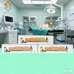 Hayvanlar için Tıbbi Kedi Kateteri Silikon <span class=keywords><strong>Foley</strong></span> Kateter İdrar Tüpü İdrar Kateteri Evcil Hayvanlar Veteriner Teşhis Ekipmanı - Product Image 4