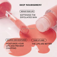 Vente en gros de gloss à lèvres changeant de couleur en fonction de la température, huile à lèvres hydratante longue durée, baume à lèvres aux fruits réactif au PH, étiquette privée