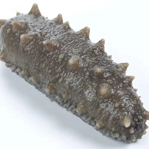 Nourriture saine et soyeuse, rz, <span class=keywords><strong>concombre</strong></span> <span class=keywords><strong>de</strong></span> <span class=keywords><strong>mer</strong></span> - Product Image 1