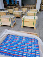 Roulement à Billes à Gorge Profonde SKF 6300 6301 6302 6303 6200 6201 6202 6203 6004 en Stock