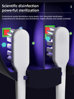 Nouvel arrivage de batterie USB automatique désinfectant UV porte-brosse à dents désinfectant lumière UVC