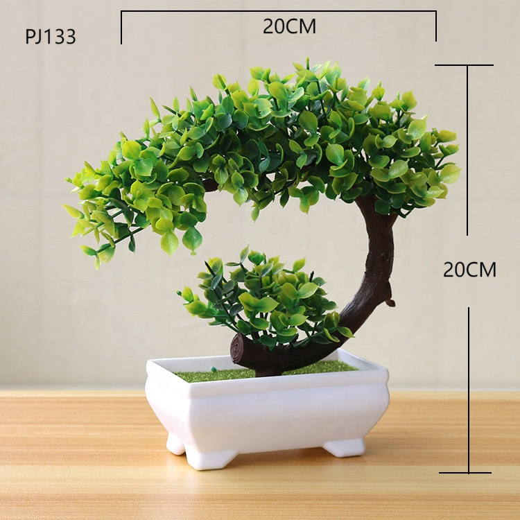 Little Tree Pot How to Choose the Best Small Tree Pot for Your Space