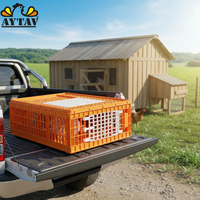 Nouvelles cages de transport pour poulets avec portes latérales en PE, capacité 10-14 poulets, toutes saisons (-20°C +80°C), AYTAV, 6,6 kg, 77x57x27 cm, garantie 1 an