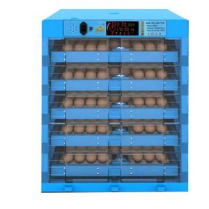 Mini incubateur d'œufs automatique à double alimentation pour usage domestique - Capacité <span class=keywords><strong>de</strong></span> 64 œufs avec retournement automatique, idéal pour l'éclosion <span class=keywords><strong>de</strong></span> poulets et <span class=keywords><strong>de</strong></span> canards - Product Image 1