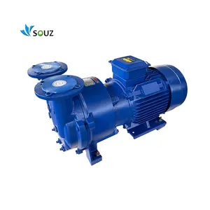 Hot Sale SOUZIndustrial Pump 7.5kw 11kw 15kw Suction capacity 0.45/0.86/1.33 High Pressure 2BV5 131 Liquid Ring Air Vacuum Pu