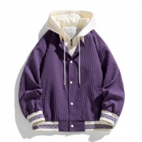Veste d'hiver rembourrée en duvet de qualité supérieure pour hommes, avec capuche moelleuse et poches, vente en gros d'usine, design personnalisé disponible