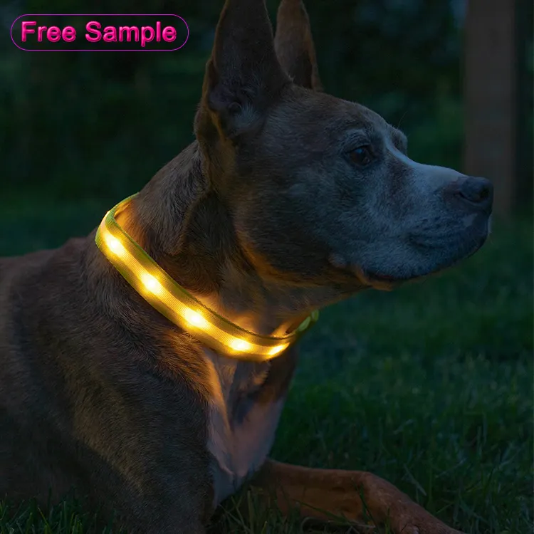 best seller USB Rechargeable LED dog collar cat pet multicolor light up dog collar