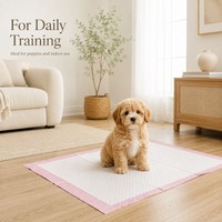 Tapis d'entraînement jetables imperméables SAP pour chiens - Meilleur prix fabricant en Chine