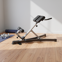 Banc d'hyperextension en acier à double réglage, Chaise romaine, Appareil d'exercice pour la maison, Équipement de fitness pour l'extension du dos et réglage d'angle, Accessoire