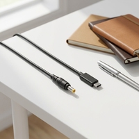 Câble de charge rapide Type-C vers Type-C en nylon blindé haute vitesse de 1 m, 5A, double interface, pour appareils iOS, certifié CE