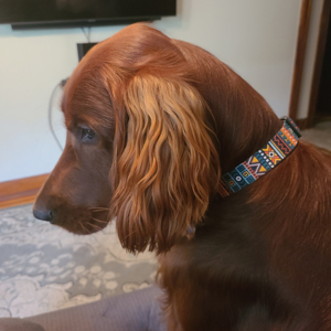 Aksesori hewan peliharaan lembut Bavarian pribadi tahan lama bergaya kerah <span class=keywords><strong>Aztec</strong></span> kulit tebal kerah anjing Collier Tuang Chien - Product Image 5