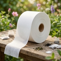 Rouleau de sacs filtrants non tissés écologiques en gros, qualité alimentaire, jetables, pour infuseur à thé, en matériau naturel pour sachets de thé vides