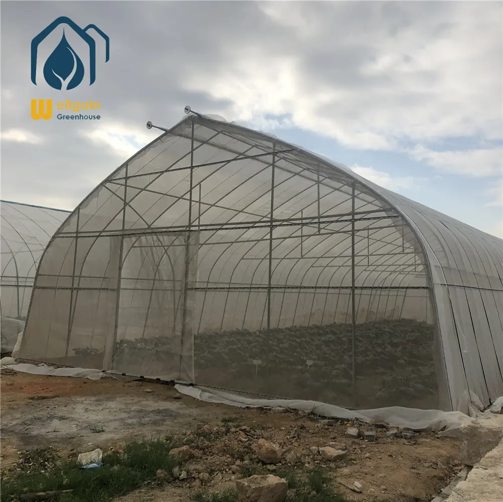 Farming Singlespan/Tunnel Greenhouse with Irrigation and Hydroponic Growing System