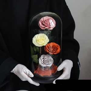 Beauty Beast LED Eternal <span class=keywords><strong>Rose</strong></span> Glass Dome Roses conservées Graduation Noël Saint Valentin Fête des mères Fabriquées à <span class=keywords><strong>la</strong></span> main Usine - Product Image 3