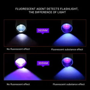 Détecteur polyvalent de taches et d'urine <span class=keywords><strong>poche</strong></span> UV365 UV395 lampe de <span class=keywords><strong>poche</strong></span> led mini lumière noire - Product Image 5