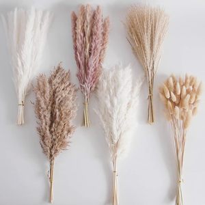 Dried Pampas Grass Bouquet for <strong>Boho</strong> Table <strong>Decor</strong> <strong>Rustic</strong> <strong>Wedding</strong> Home &amp; Christmas Party for Baby Shower Decorations - Product Image 3