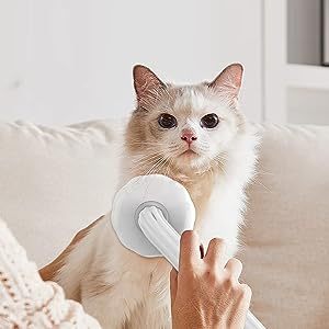 Brosse à poils courts pour chien Peigne pour chat Brosse à lisser autonettoyante pour chiens Brosse de toilettage pour chat - Product Image 4