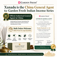 12 Boîtes de Cônes d'Encens Indiens 12-en-1 Populaires, Mélange de Parfums Oud, Palo Santo, Sauge Blanche, Floraux et Fruités, Encens Faits Main Attirant l'Argent