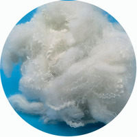 Fibre de rembourrage creuse en polyester, prix de la fibre de polyester creuse vierge