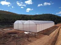 Chine Usine Vente Directe 10*50m Pas Cher Dôme Forme Serre Multi Span Tunnel Serre Pour L'agriculture Tomate Fraise