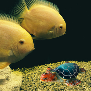 Trang chủ hồ cá trang trí bể cá trang trí cổ rùa đại dương đồ trang trí Tượng nhựa thủ công - Product Image 3