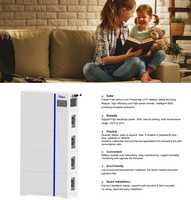 Baterai Penyimpanan Energi Deye ESS AI-W5.1-B 51.2V 100ah LiFePO4 Baterai Surya 10kwh 20kwh 30kwh untuk Penggunaan Rumah Tangga
