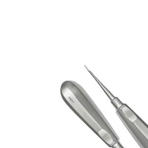 Elevador de Raíces Manual de Precisión, Instrumento de Acero Inoxidable para Extracción, Precio Económico al por Mayor con Personalización - Product Image 5