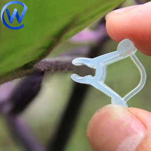 Agriculture Mini Plantes Greffé Silicone Tube Transparent <span class=keywords><strong>Tomate</strong></span> Greffage Clip 2.5 Mm Papillon Clip pour <span class=keywords><strong>Tomate</strong></span> Greffeur - Product Image 4