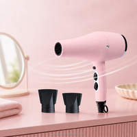 Sèche-cheveux professionnel à moteur AC avec concentrateur et diffuseur, fonction ionique et induction, très vendu pour salons