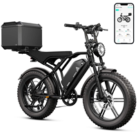 Vélo électrique 750W 48V 15Ah 250W 25km/h avec pneus larges de 20 pouces, vélo cargo électrique à cadre en acier, entrepôt UE, Fatbike adulte