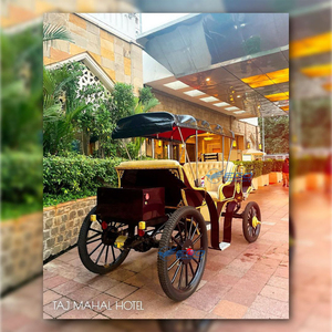 รถม้าไฟฟ้าสีดำแบบสองแถวสำหรับการเดินทางพิเศษที่ปรับแต่งได้จากโรงงาน XCEGO สำหรับ 6-8 คน เหมาะสำหรับงานแต่งงาน - Product Image 4