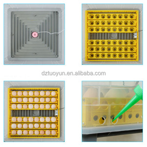 TUOYUN – Mini incubateur automatique à double puissance, couveuse d'œufs, Machine à poncer des œufs <span class=keywords><strong>de</strong></span> poulet, prix d'usine, vente en gros - Product Image 6